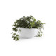 Γλάστρα Ecopots Brussels 25*12 Λευκό